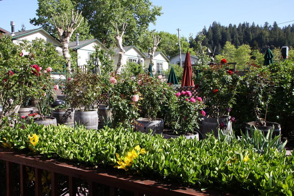 The Woods Hotel - Gay Lgbtq Cabins Guerneville Exteriér fotografie